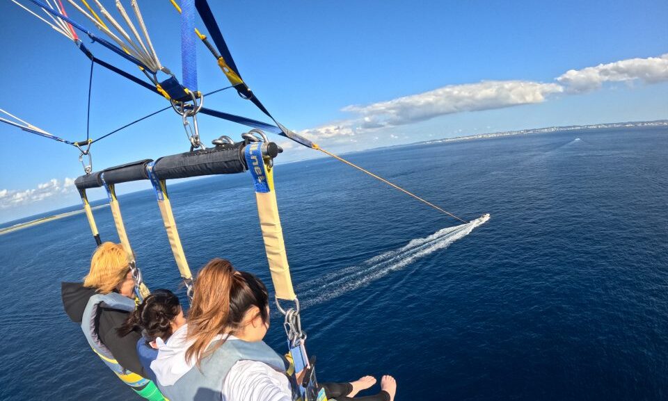 【４月1日】本日のシーワールド🐟