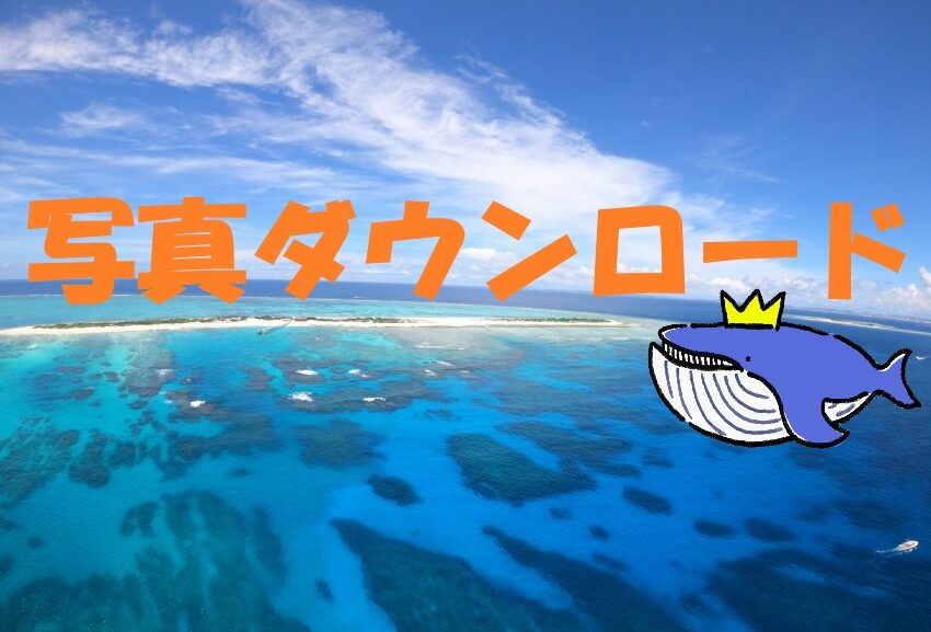 【1月29日】写真ダウンロード/PHOTOS DOWNLOAD